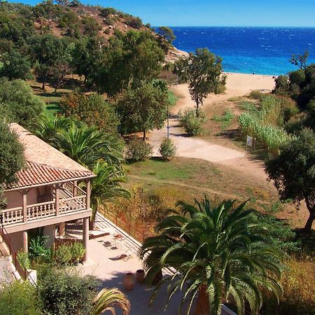 Le Clos Des Sept Palmiers Cavalaire-sur-Mer Exteriér fotografie