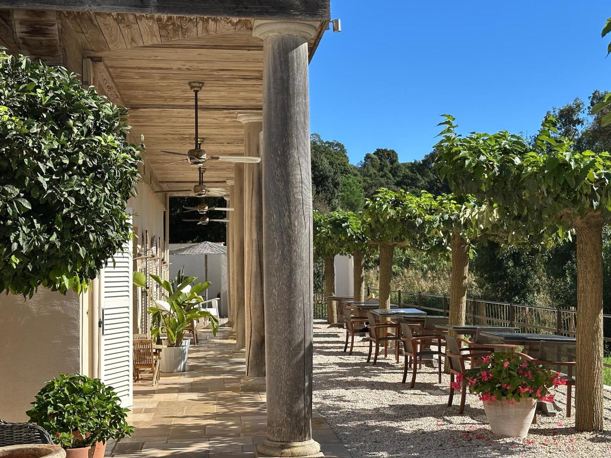 Le Clos Des Sept Palmiers Cavalaire-sur-Mer Exteriér fotografie