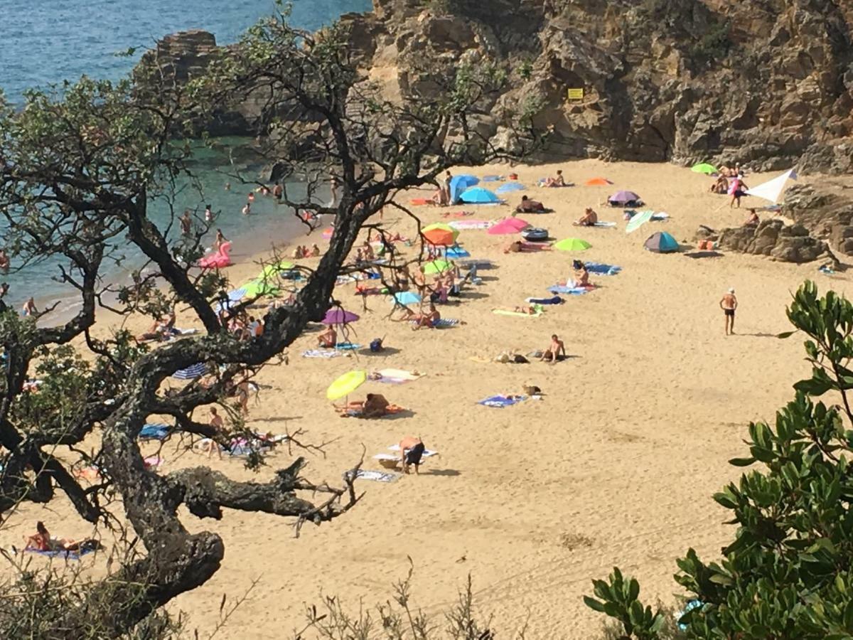 Le Clos Des Sept Palmiers Cavalaire-sur-Mer Exteriér fotografie