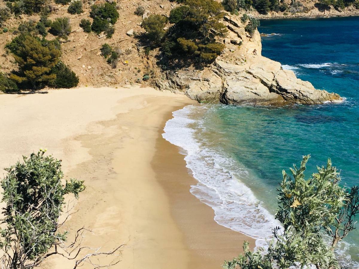 Le Clos Des Sept Palmiers Cavalaire-sur-Mer Exteriér fotografie