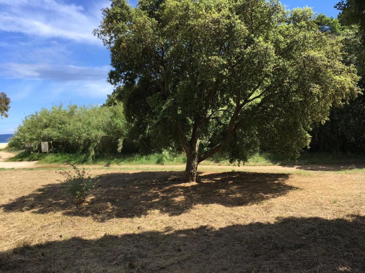 Le Clos Des Sept Palmiers Cavalaire-sur-Mer Exteriér fotografie